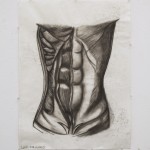 Anatomy