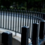DSC_0385
